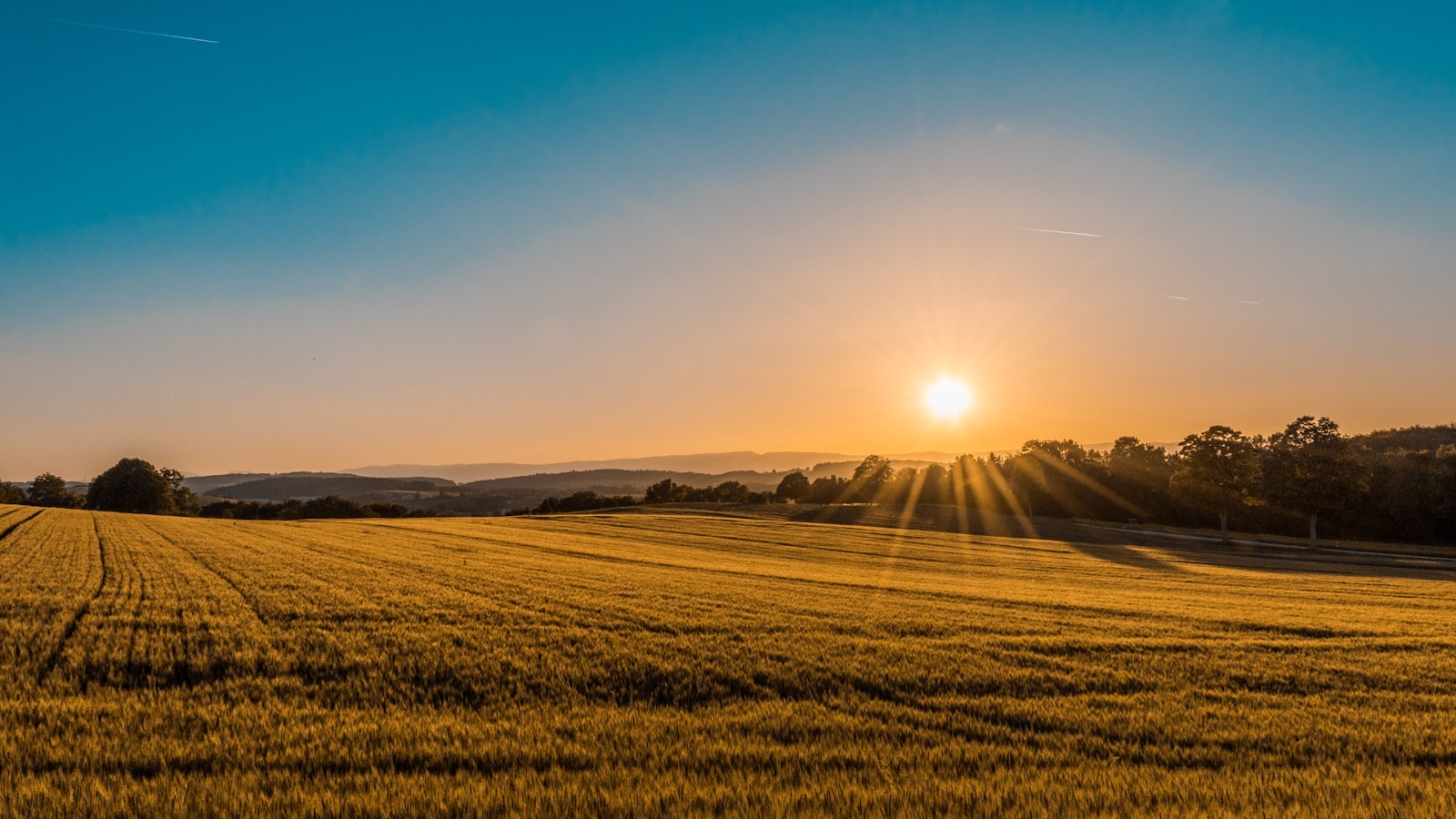 Open farmland at sunset representing a site requiring a topographical survey